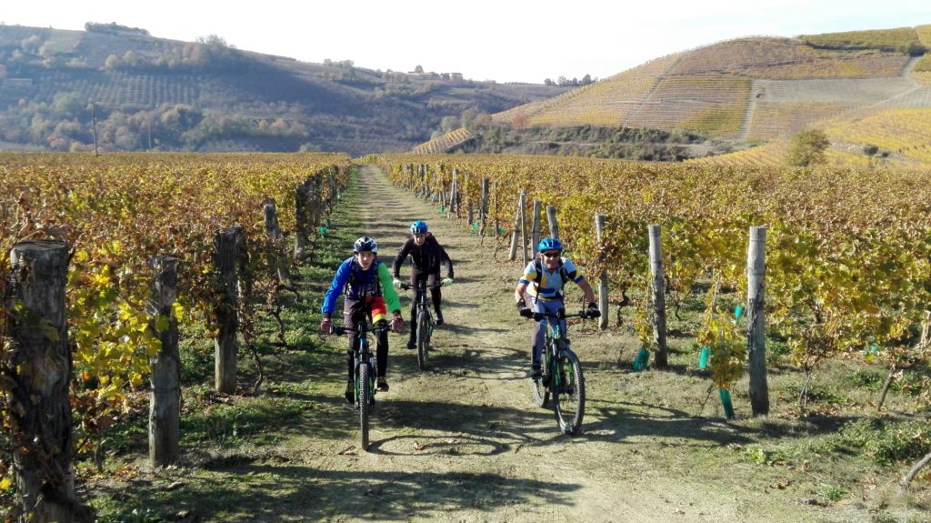 Langhe del Barolo e del Barbaresco E-Bike Tour