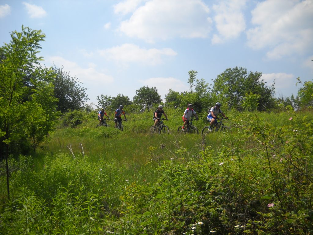 E-Bike Tour Monferrato