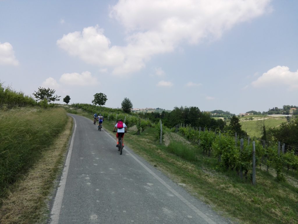 E-Bike Tour colline Monferrato sterrate facili