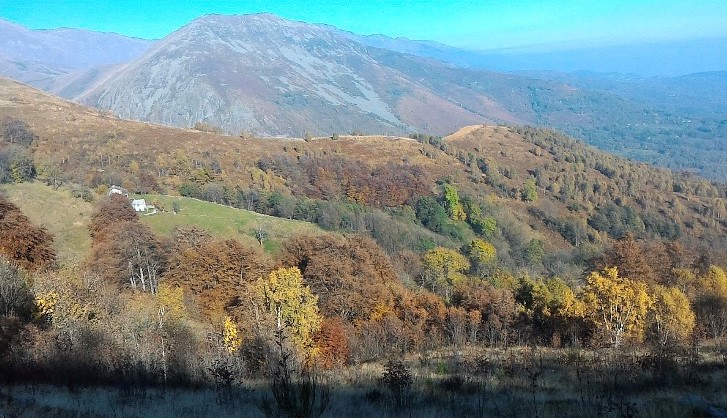 Monti Pelato Monte Calvo E-Bike Tour