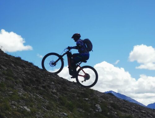 Compro una E-Mtb usata?