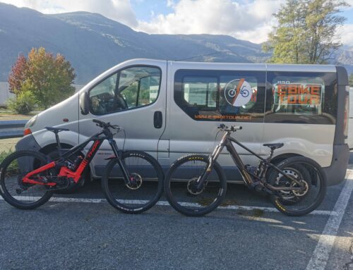 Comparativa: Orbea Wild VS Thok Gram