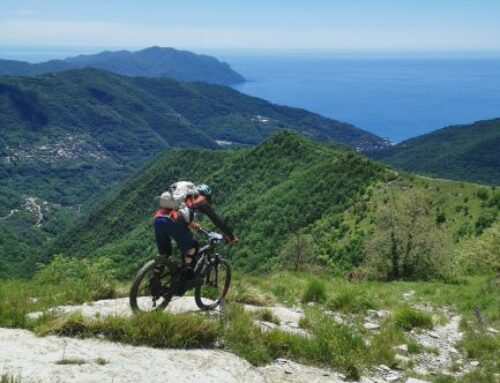 Esplora la Primavera in E-Bike con i nostri Tour!